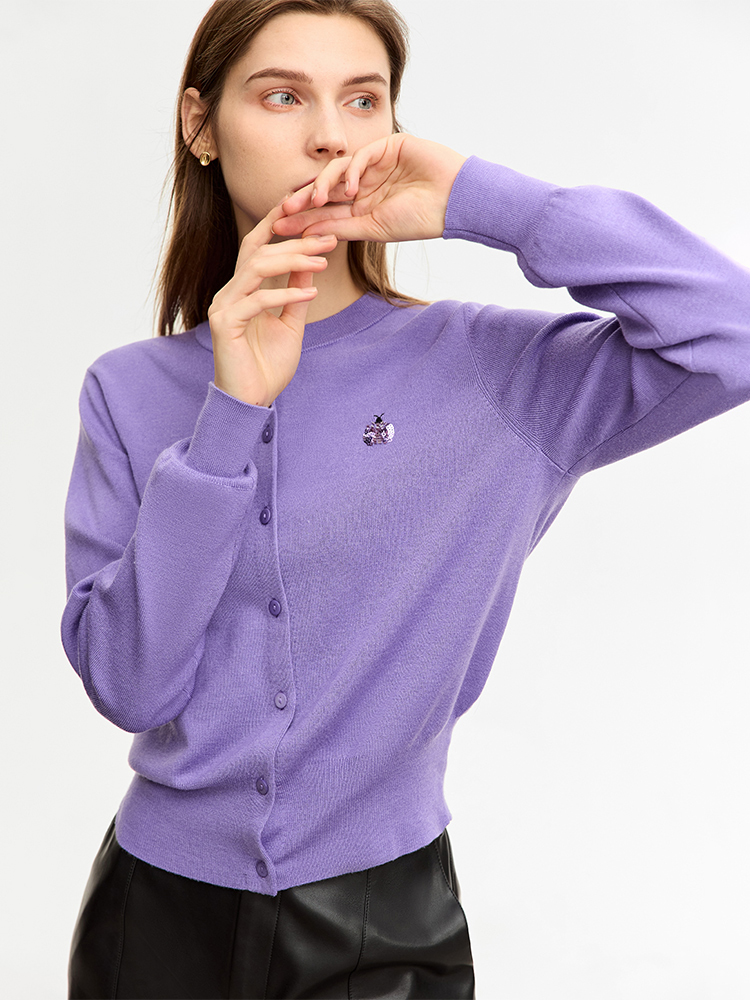 AMII Minimalistischer Wollpull – Embroidery Lady Bug Bewertung und Preis