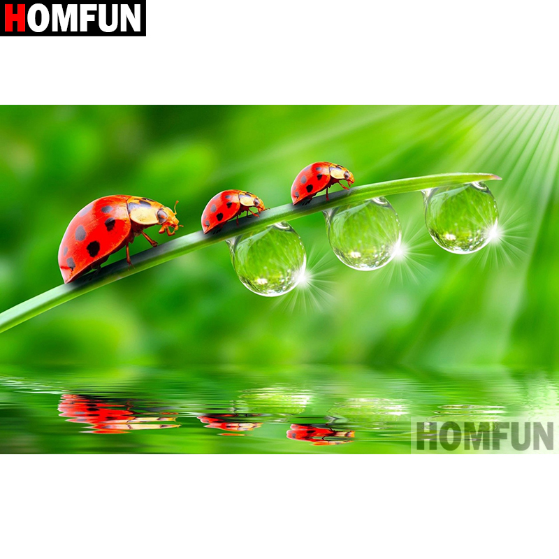 HOMFUN Kunst 5D Diy Diamant Ma – Embroidery Lady Bug Bewertung und Preis